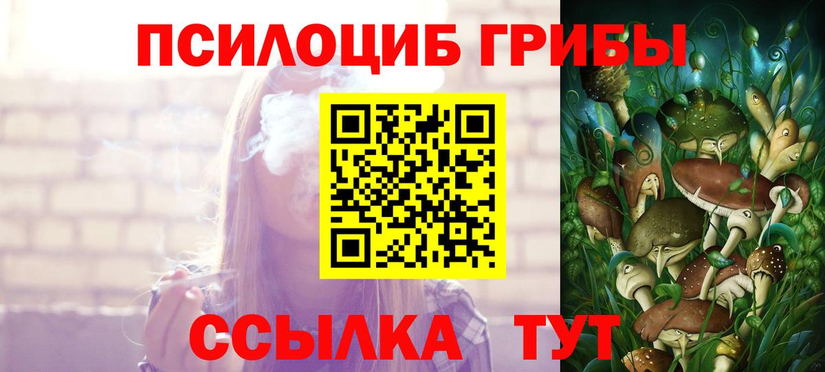 Моздок  наркотики  Псилоцибиновые грибы Psilocybine cubensis  Вход с VPN  Галлюциногенные грибы GOLDEN TEACHER 